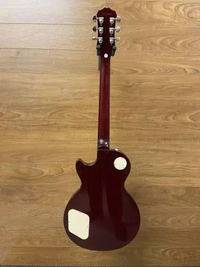 Epiphone - ELPROWRNH 2